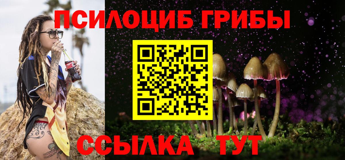 Кохма  Галлюциногенные грибы Magic Shrooms  Вход с VPN 