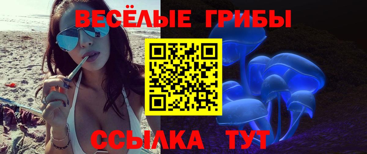 Галлюциногенные грибы MAGIC MUSHROOMS Кохма